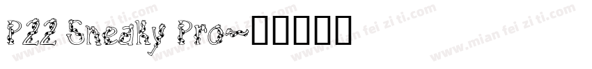 P22 Sneaky Pro字体转换